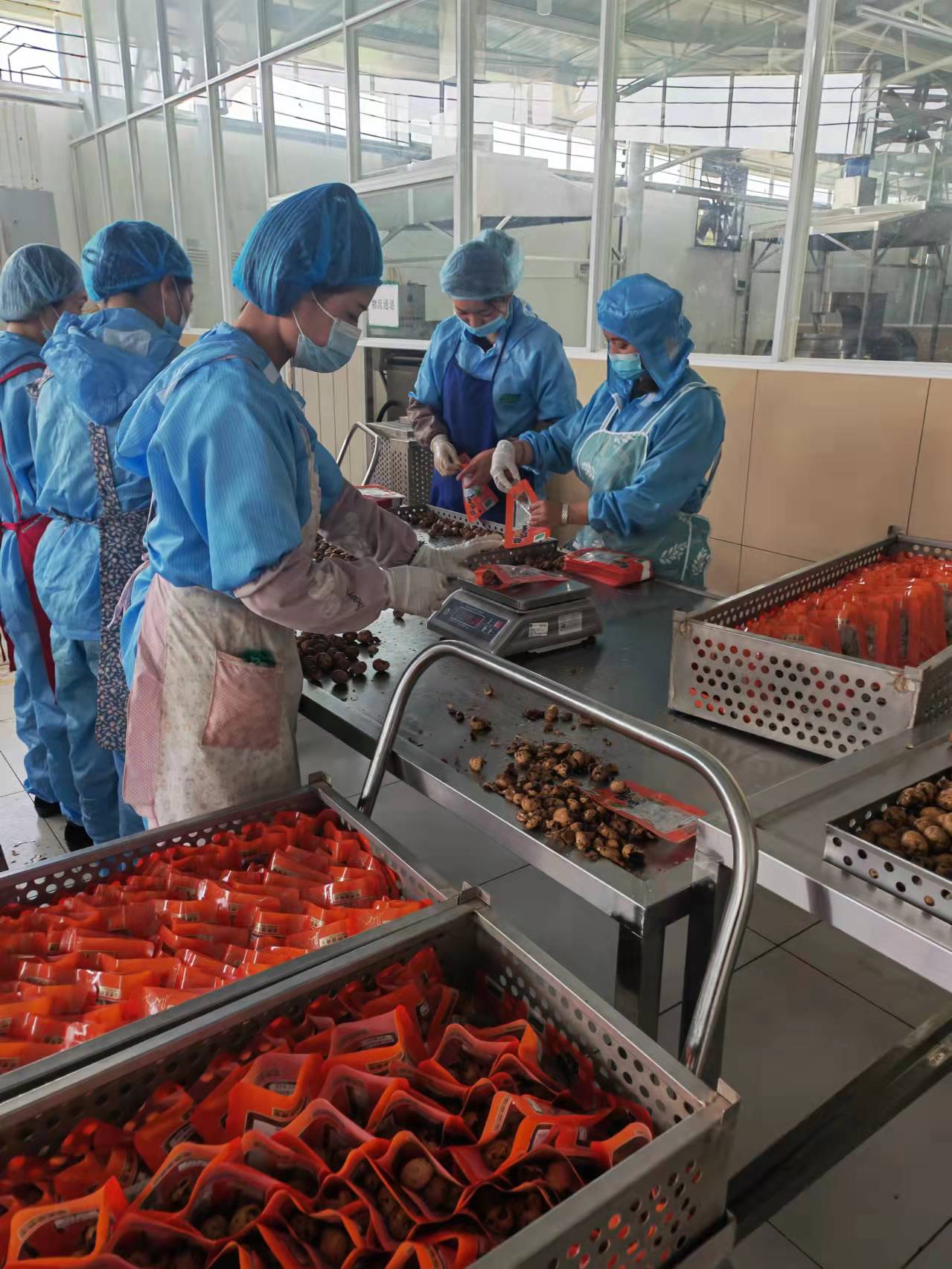 鹵制線客戶(hù)使用現(xiàn)場(chǎng)